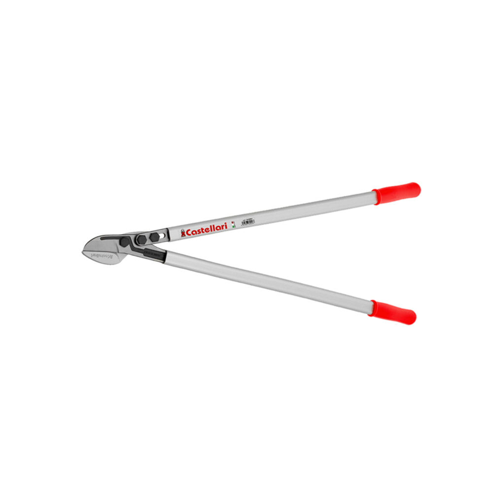 TUCANO-900x685