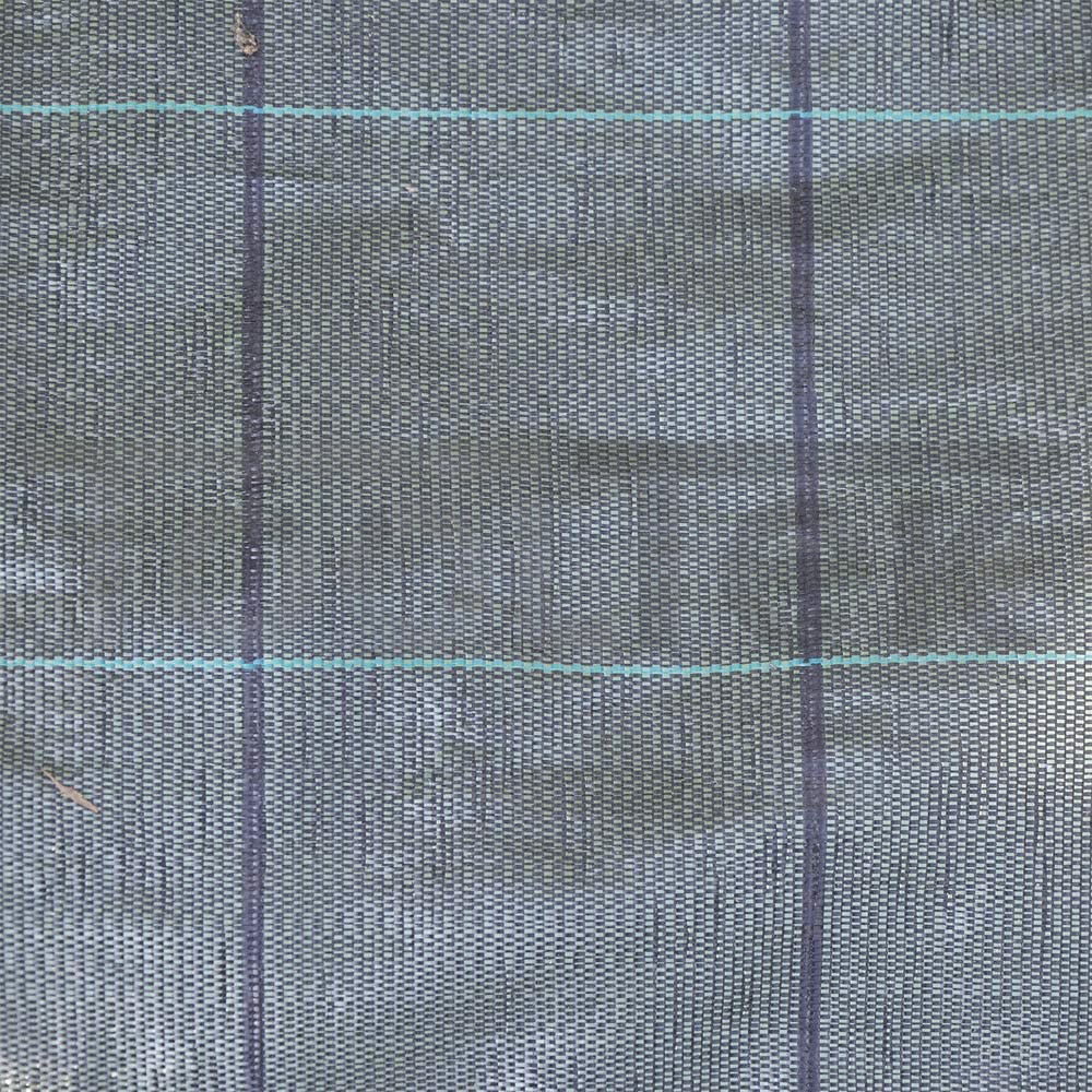 81UPdHSOX3L._AC_SL1000_