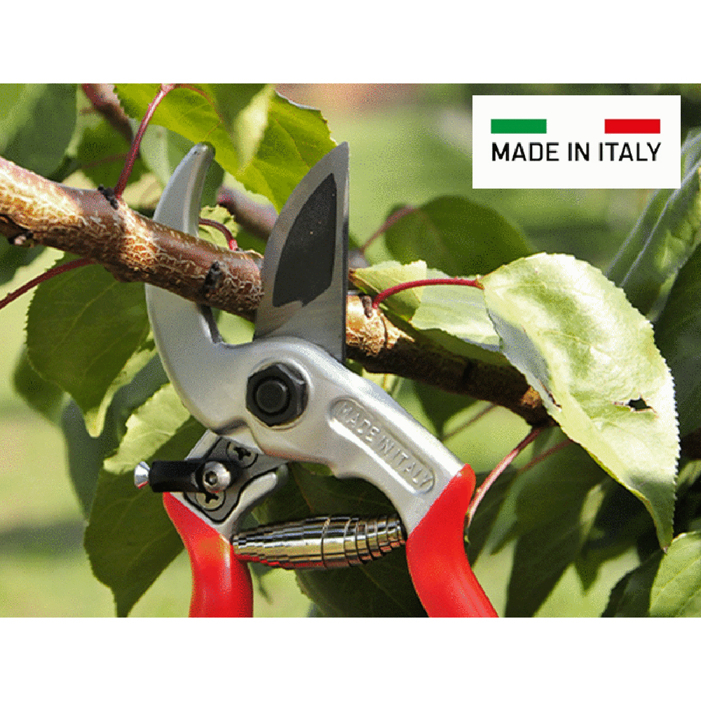 in-campo-900x686-1