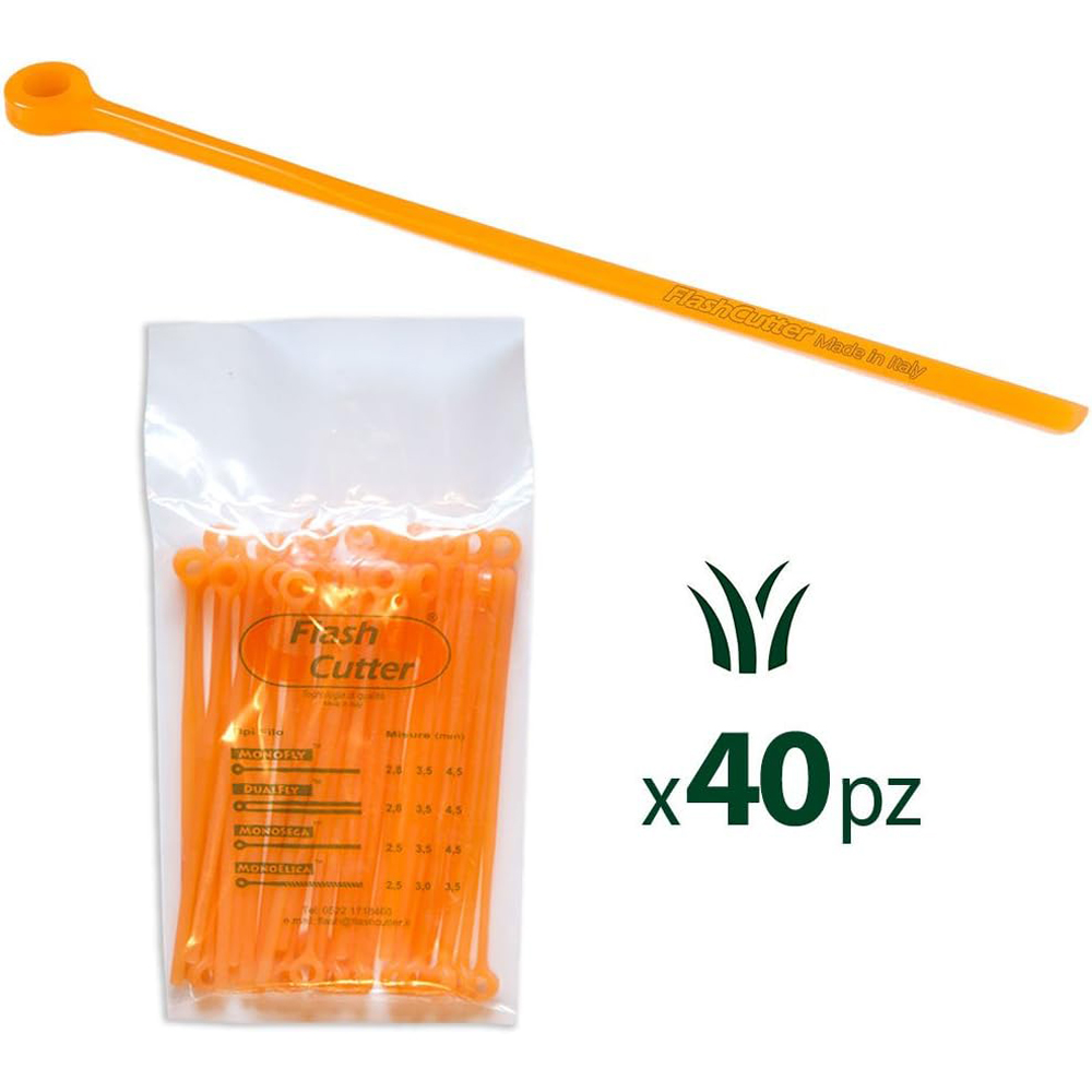 61Xy6ZFR2lL._AC_SL1000_