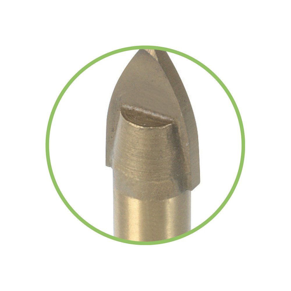 PRFEVCX6-VB-2_1